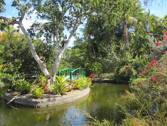 Garden of the Groves Wildlife Spots