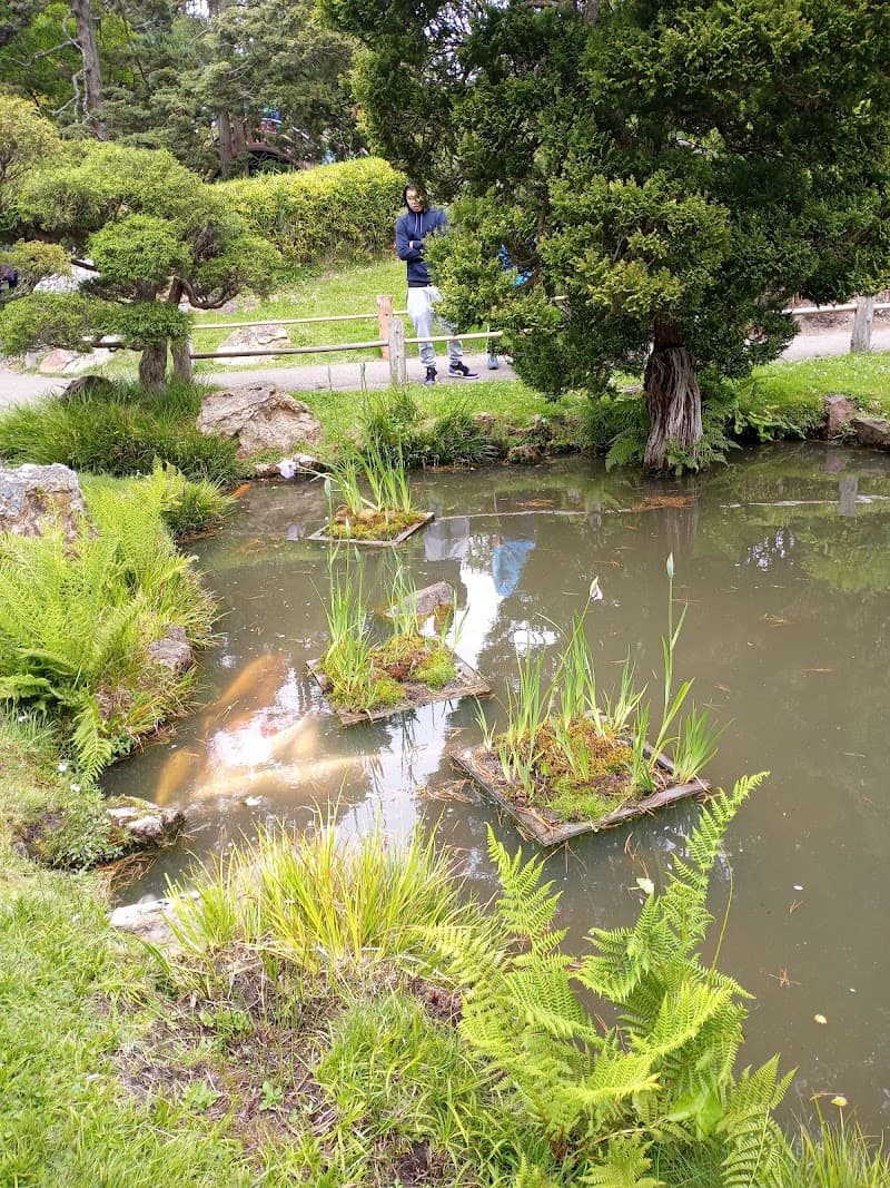 Golden Gate Park Free Explore