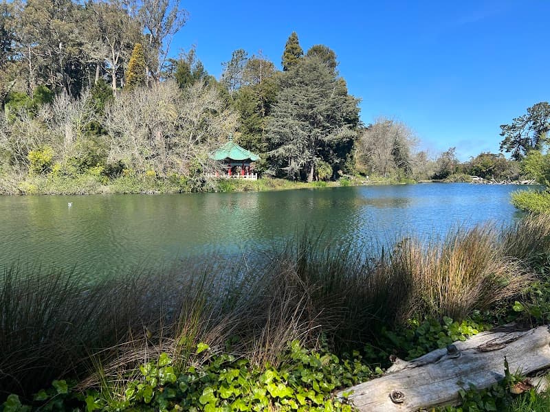 Golden Gate Park Free Explore (Music Concourse & Stow Lake)