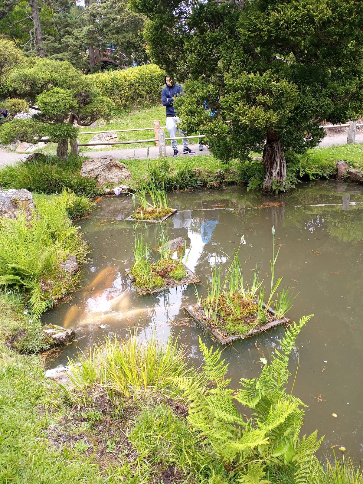 Golden Gate Park Gardens