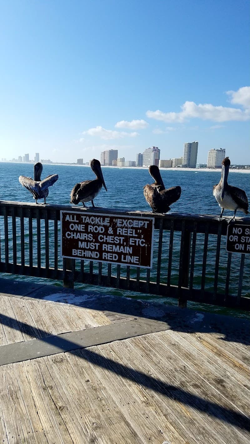 Gulf State Park Pier Sunset Walk