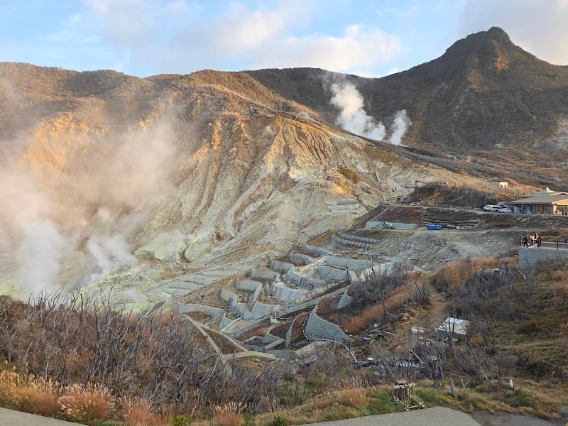 Hakone Ropeway (Togendai to Owakudani and Back)