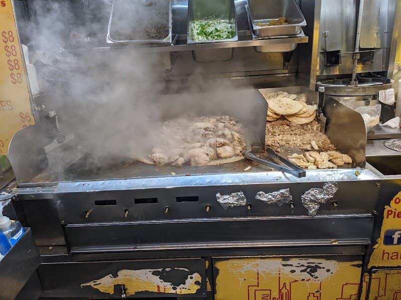 Halal Carts (throughout NYC)