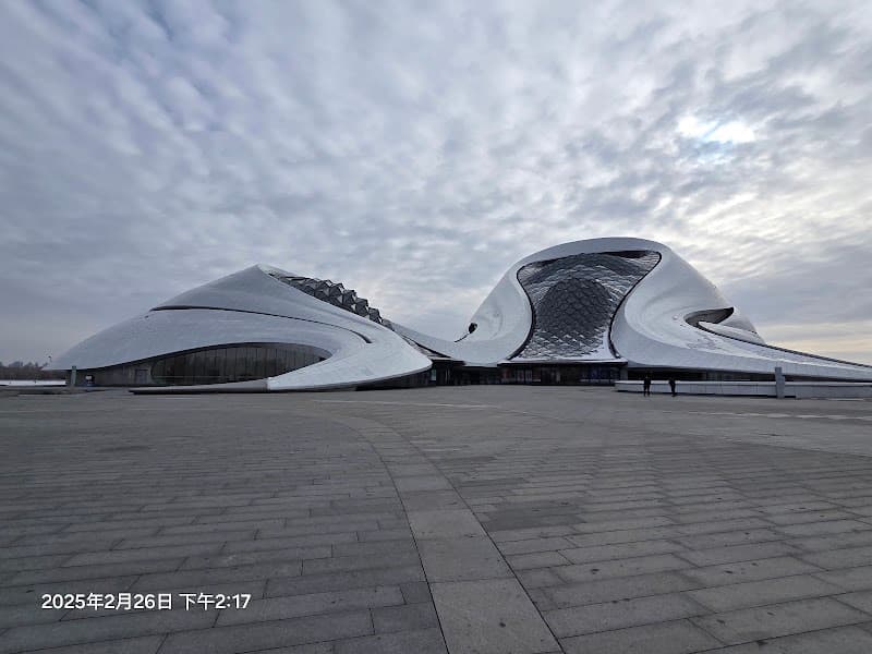 Harbin Grand Theatre Exterior and Wetland Views