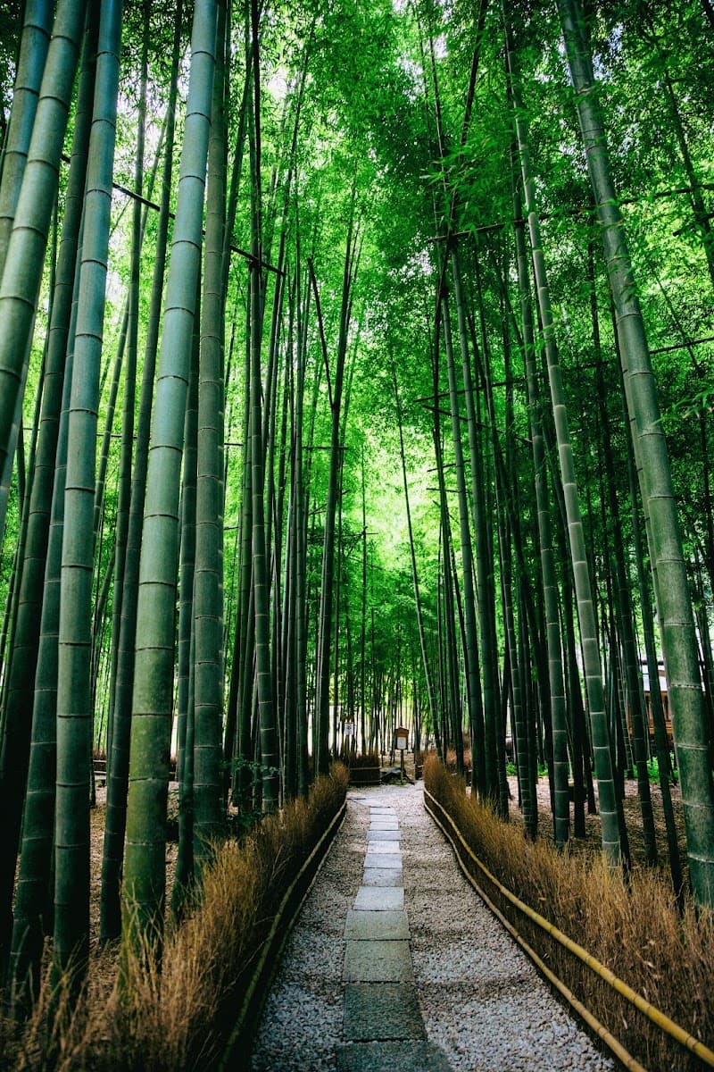 Hokoku-ji Temple & Bamboo Grove