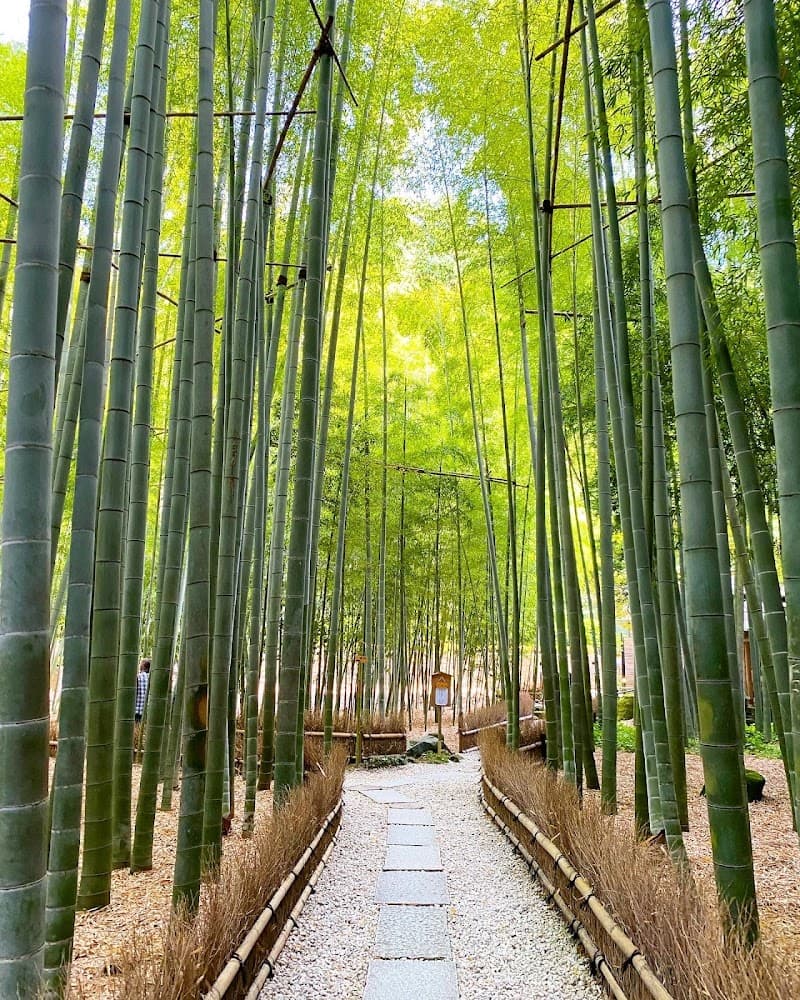 Hokokuji Temple (Bamboo Temple)