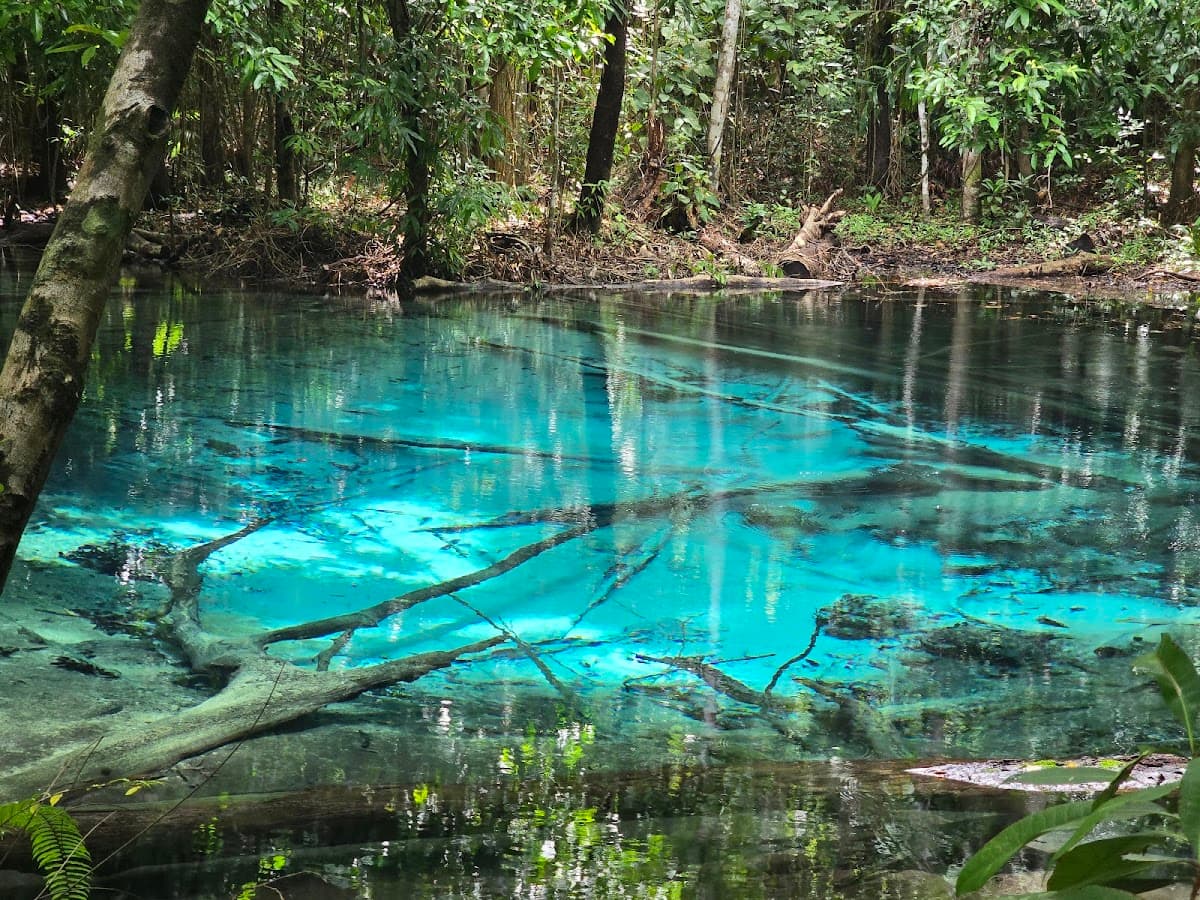 Hot Springs & Emerald Pool