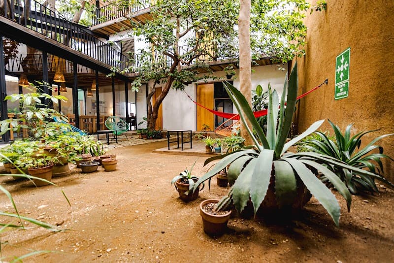 Hotel Con Corazón Oaxaca