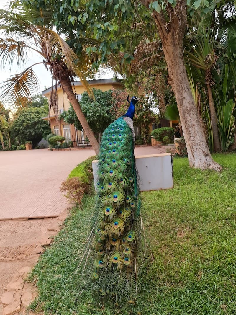 Hotel Terminus Niamey