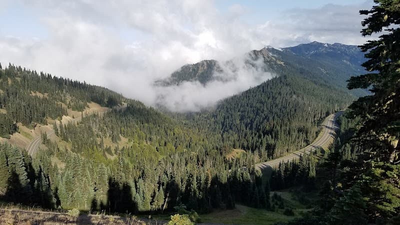 Hurricane Ridge Road and Viewpoints