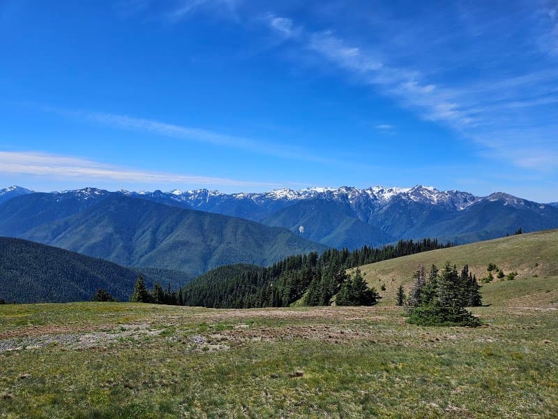 Hurricane Ridge Trails (short walks)