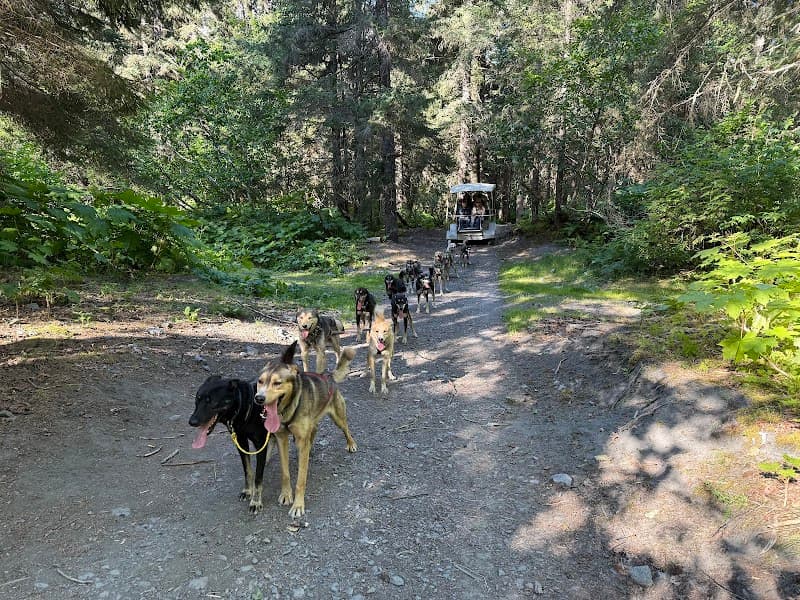 Ididaride Sled Dog Tours (Seavey Family Kennel Visit)
