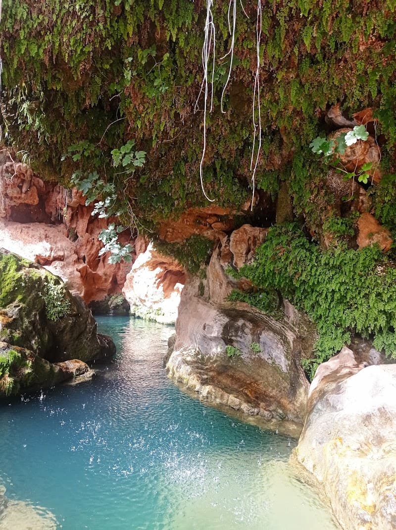 Jungle Wild Agadir: Nature Escapes & Halal Flavors