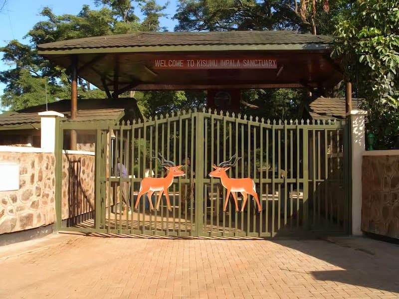 Impala Sanctuary Boardwalk & Wildlife