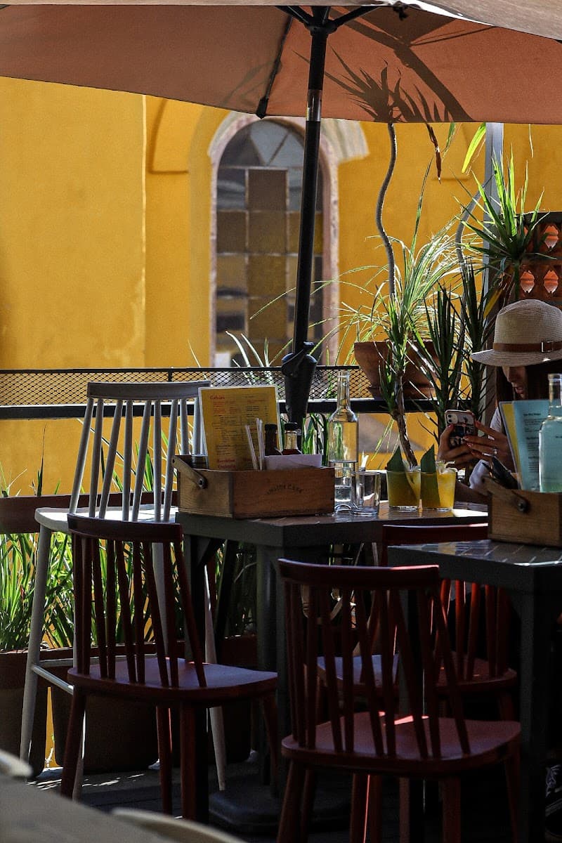 Romantic Jungle-Wild Week in San Miguel de Allende