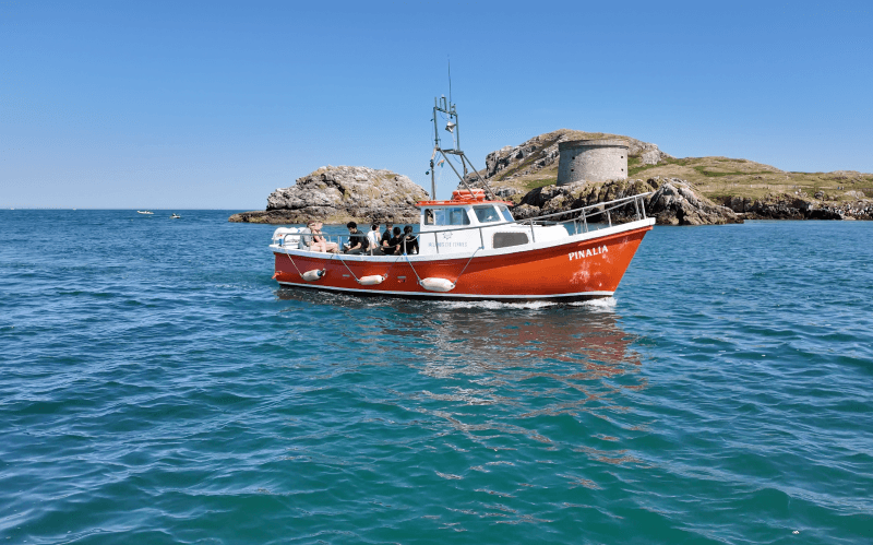 Ireland’s Eye Boat Trip