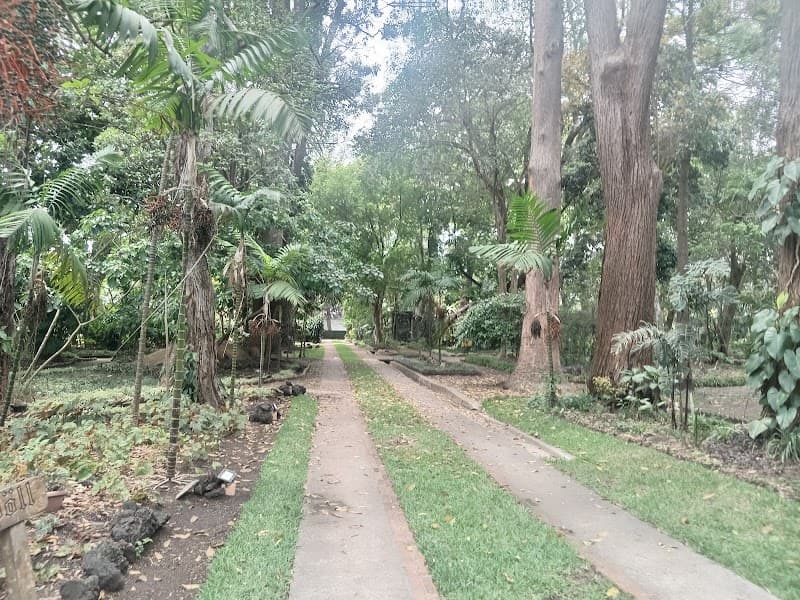 Jardín Botánico