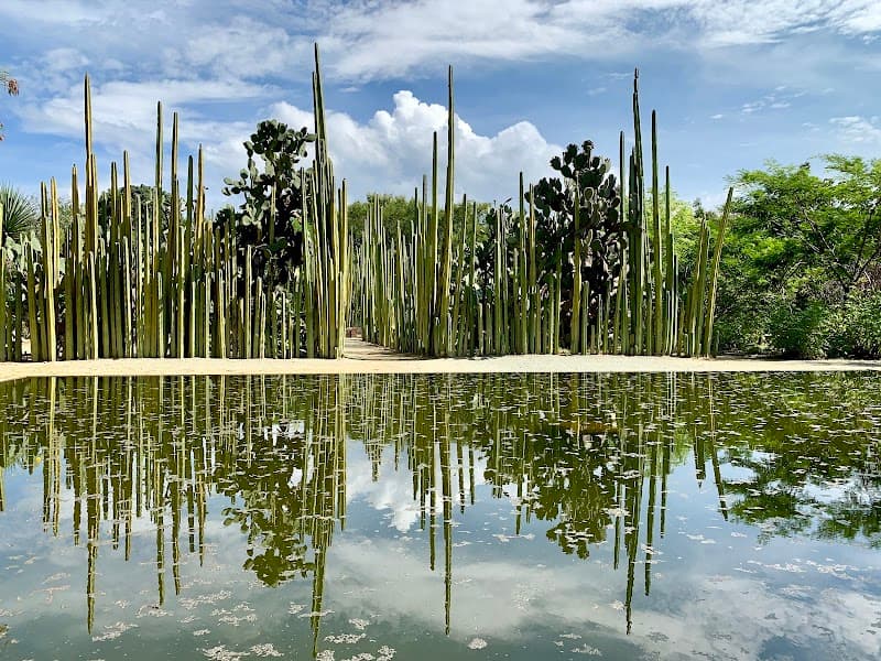 Jardín Etnobotánico de Oaxaca (Guided Tour)