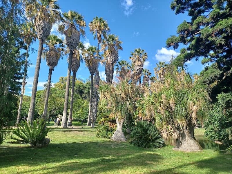 Jardim Tropical