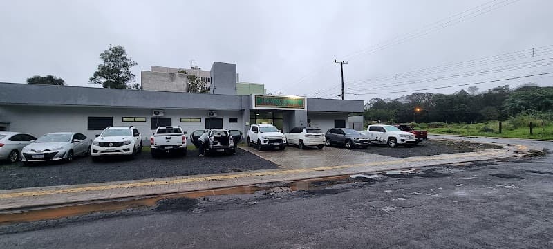 Jungle Green Restaurant