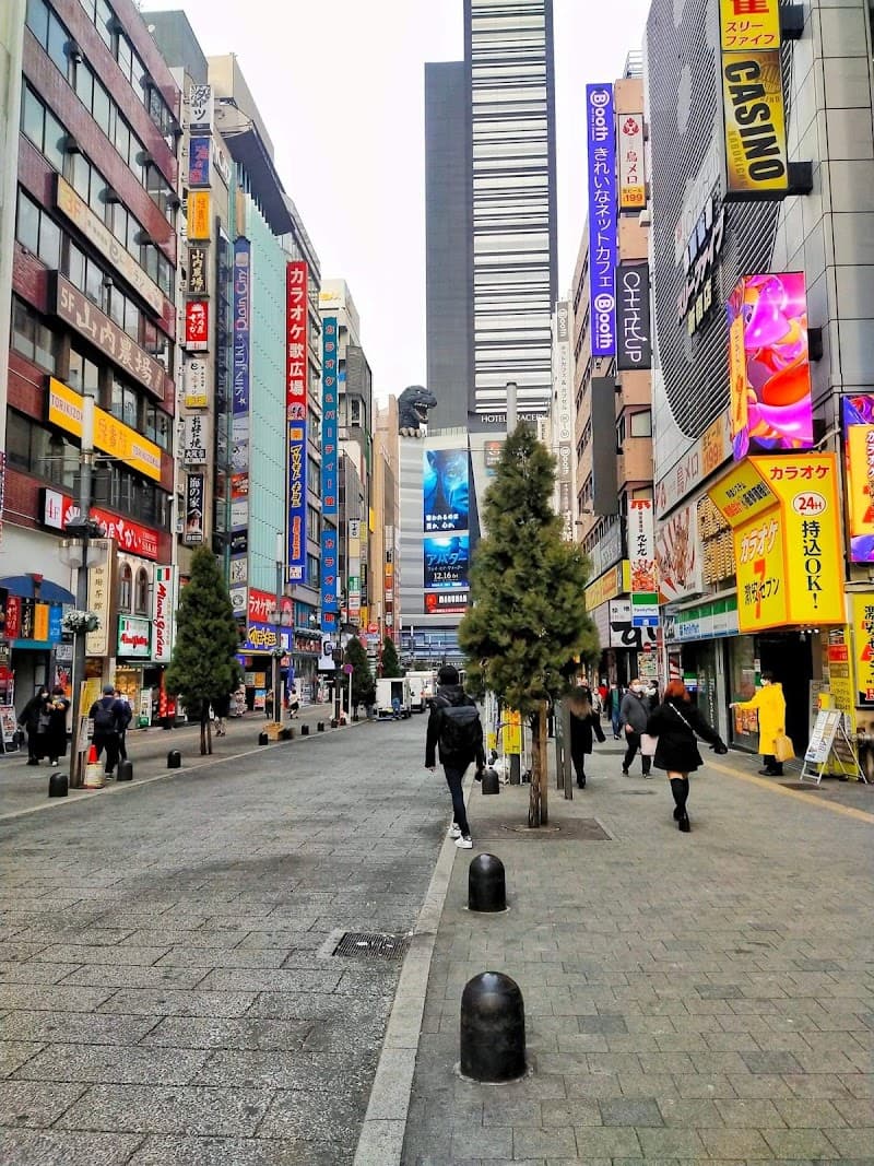 Kabukicho Main Streets
