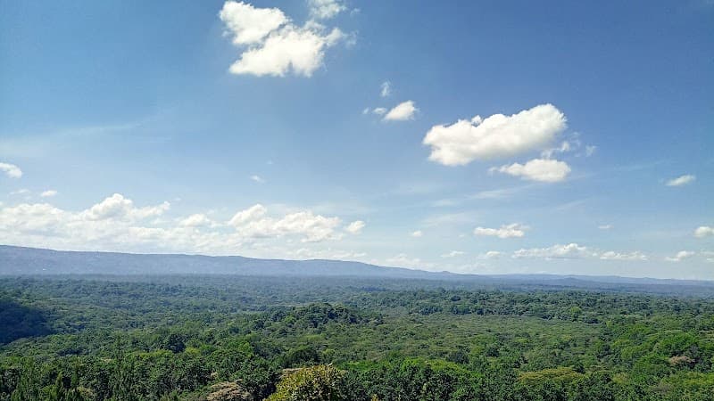 Kakamega Rainforest (Kakamega Forest National Reserve)