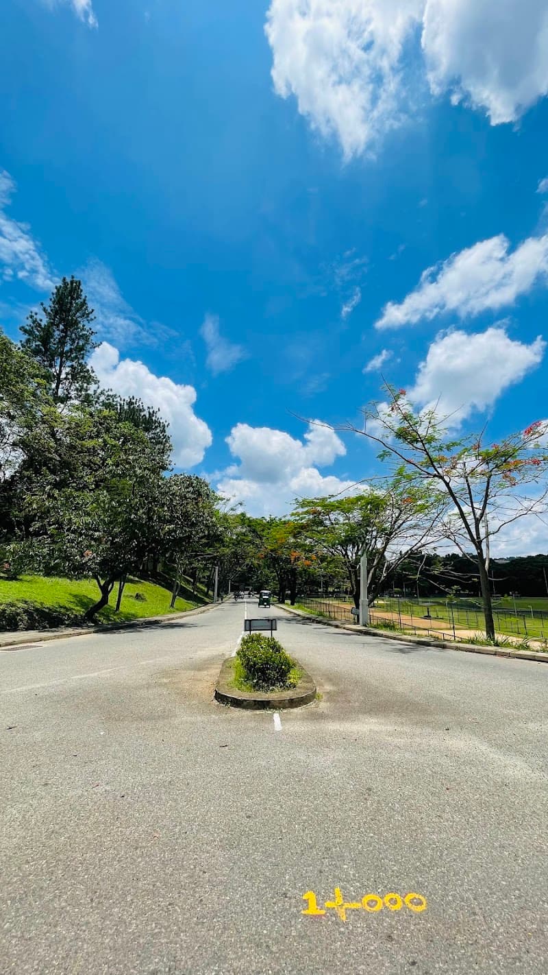 Kandy to Colombo Return