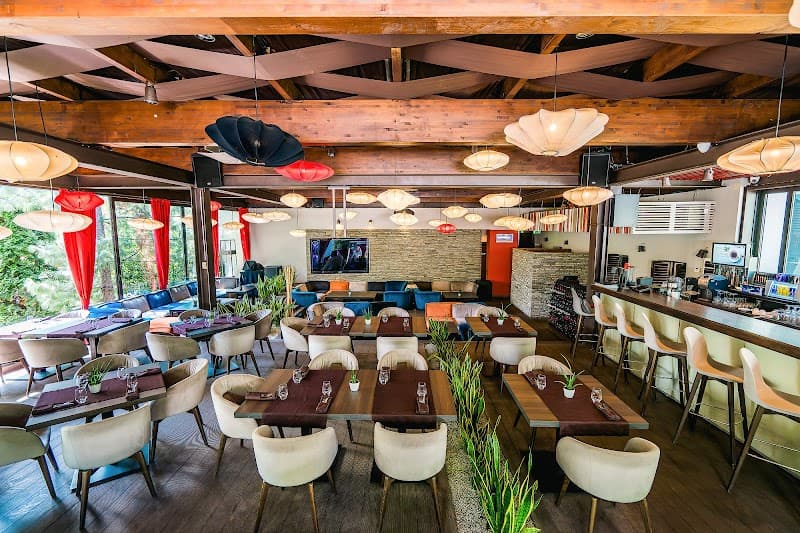 Forest Edges & Medieval Streets: 3 Days in Brașov