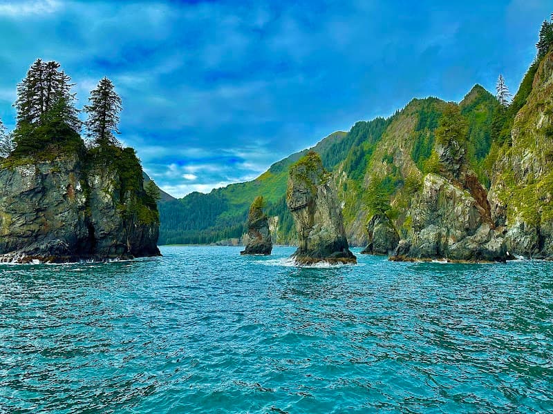 Kenai Fjords National Park Day Cruise