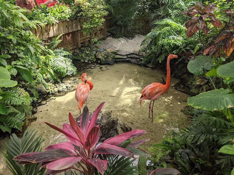 Key West Butterfly & Nature Conservatory