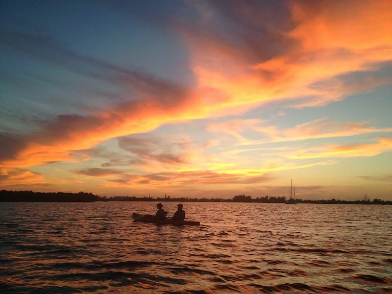 Key West Mangrove Kayak Eco Tour