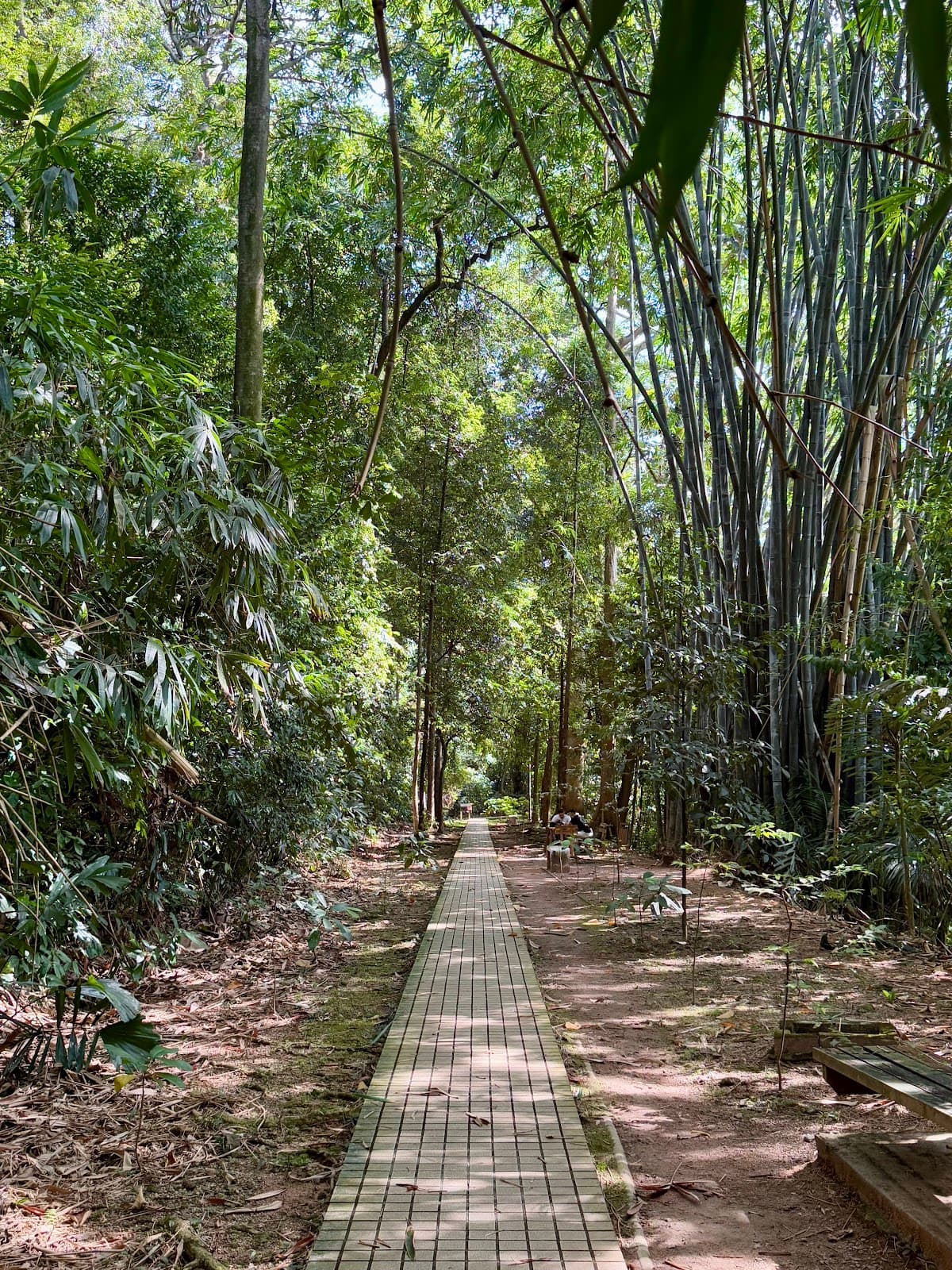 KL Forest Eco Park