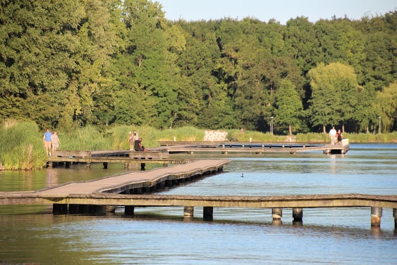 Kralingse Bos & Lake Sunset Walk