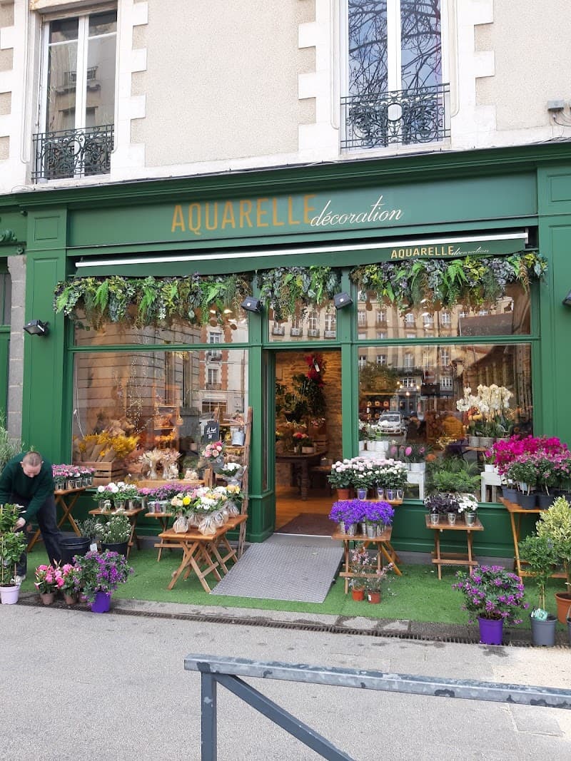 Slow Sips & Breton Bites in Rennes