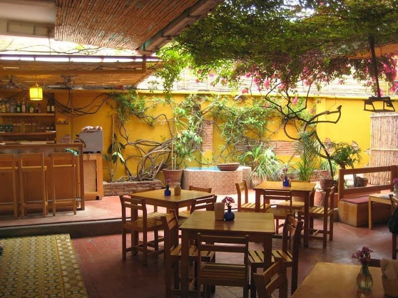 Oaxaca Jungle Wild: A Family-Friendly Long Weekend