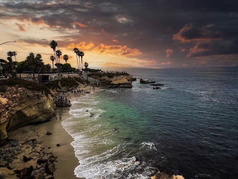 La Jolla Cove & Seals
