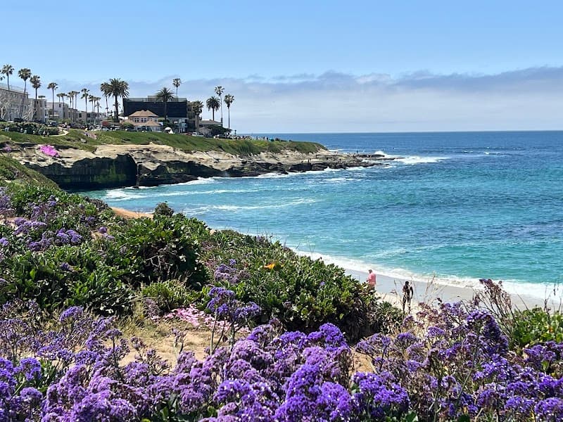 La Jolla Cove and Coastal Walk