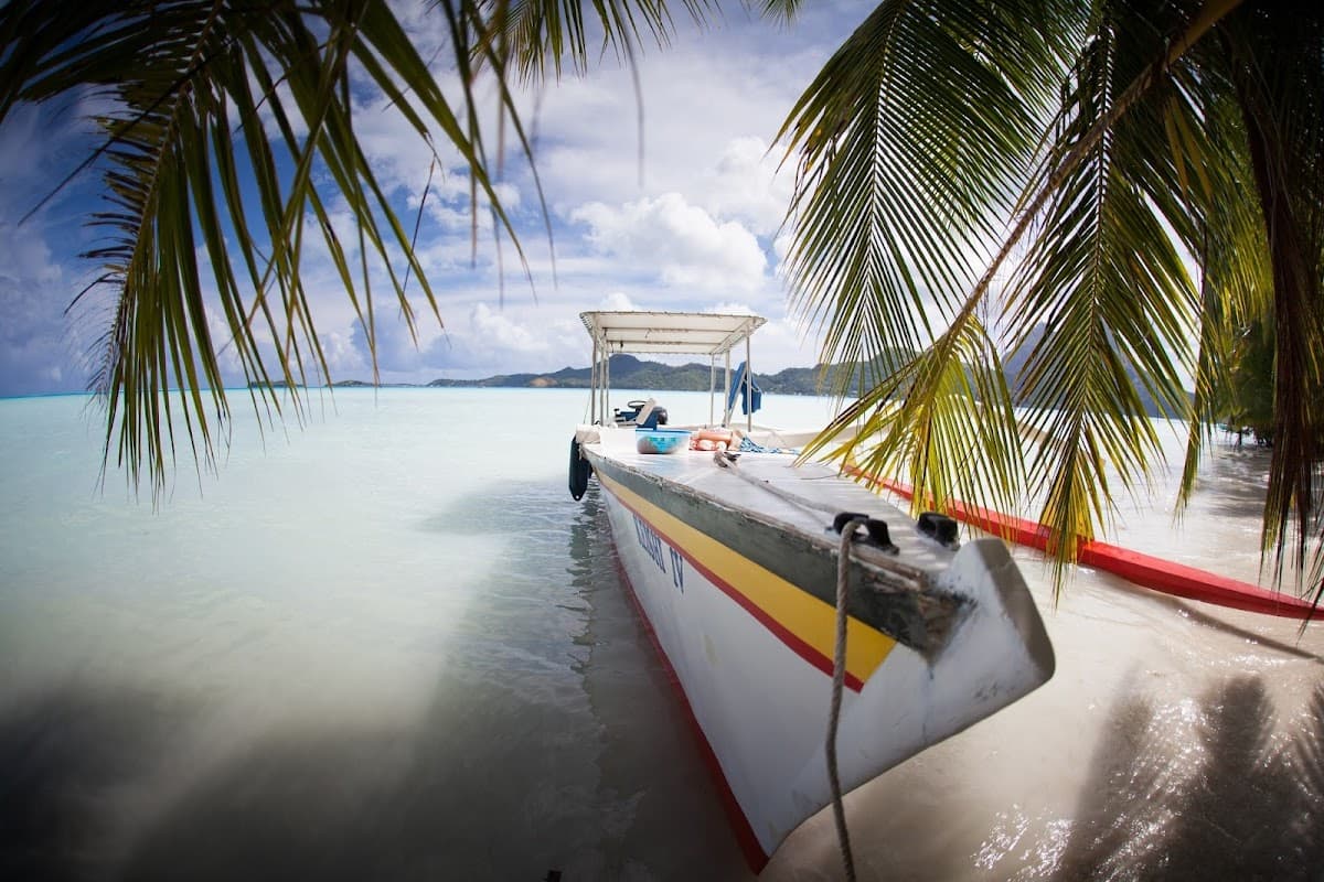Lagoon Tour with Motu Picnic