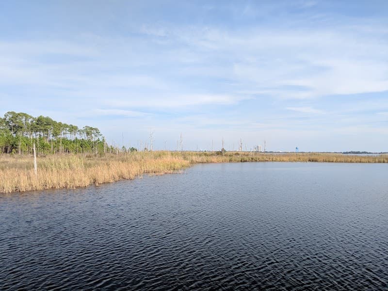 Lake Shelby Kayak or Paddleboard Rental