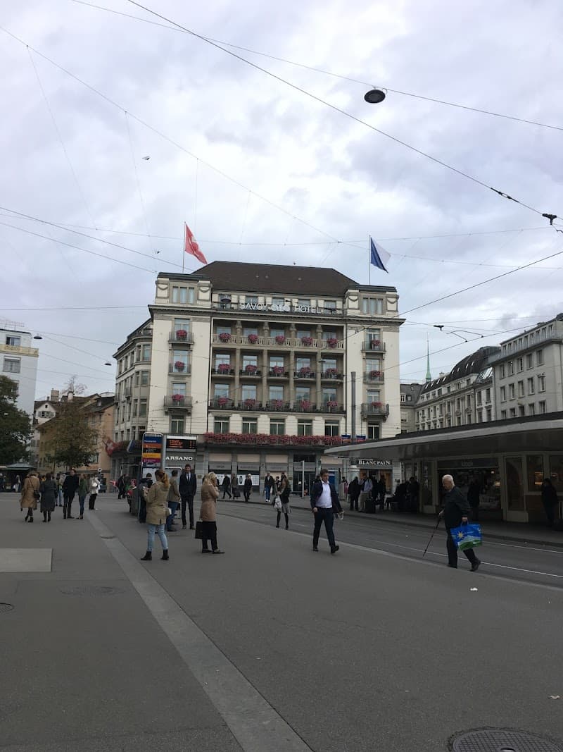 Lake Zurich Short Cruise (Zurich Bürkliplatz Round Trip)