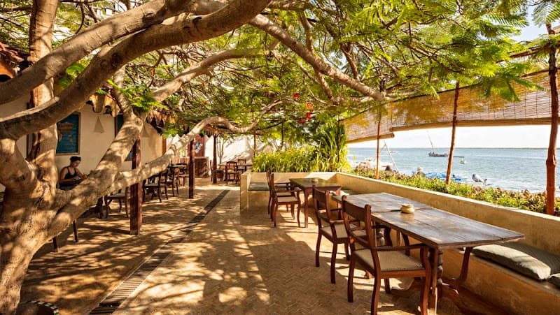 Tropical Family Escape in Timeless Lamu Island