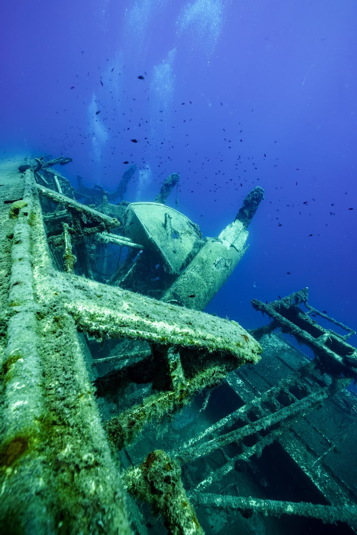 Larnaca Snorkelling Zenobia Wreck