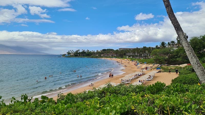 Last Dip at Wailea Beach or Resort Pool