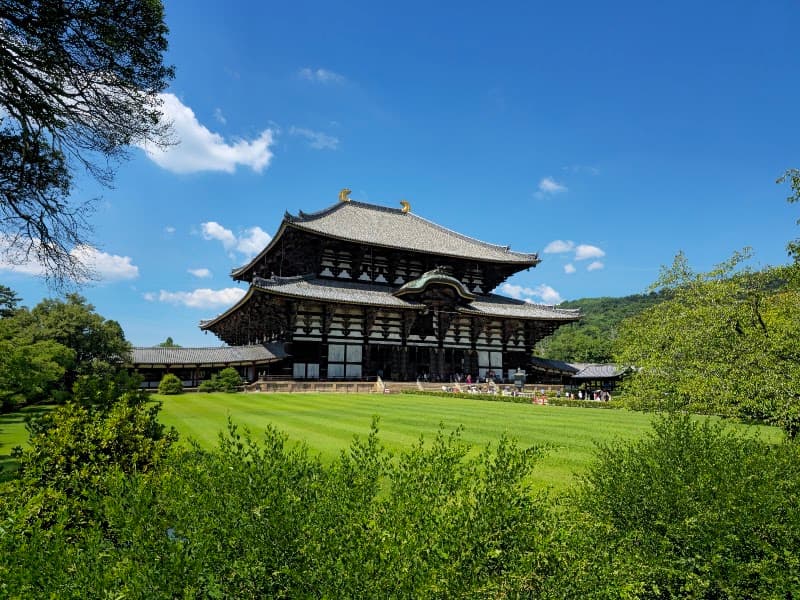 Last Stroll in Nara Park and Souvenir Shopping