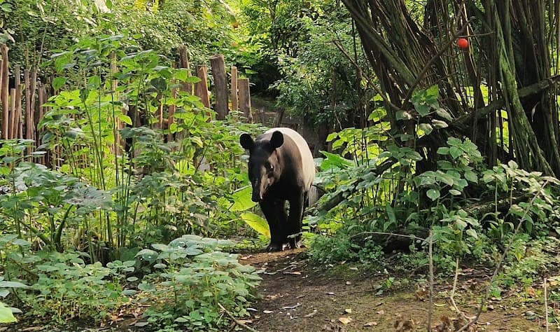 Leipzig Zoo (Zoo Leipzig)