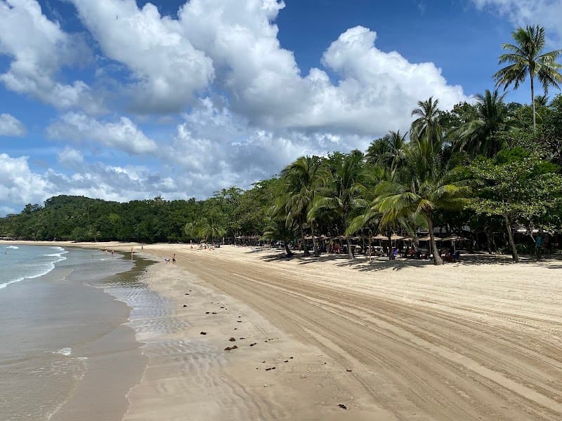 Jungle-Lagoon Romance in El Nido