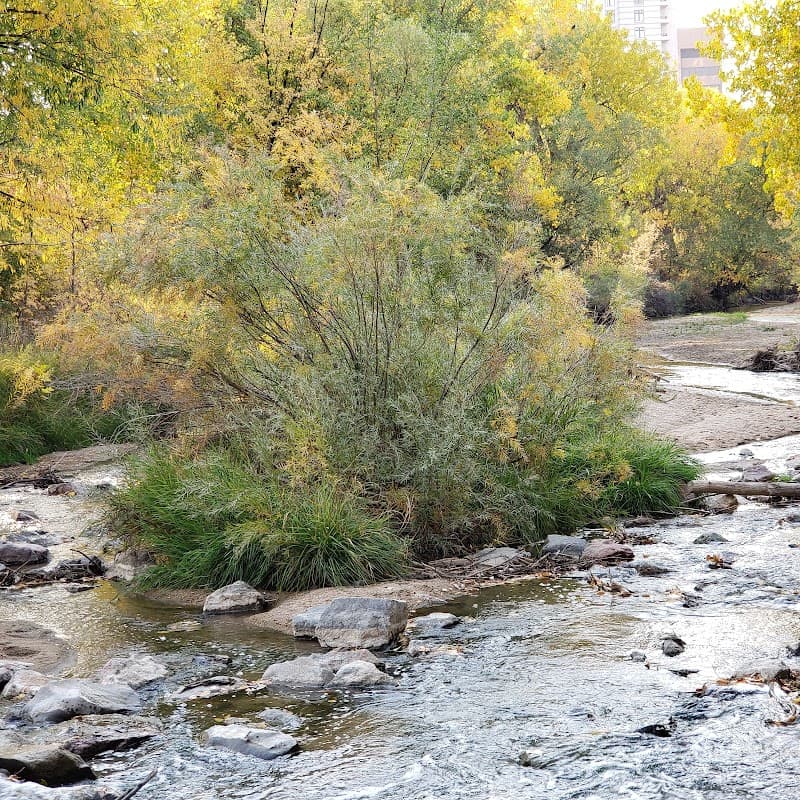 LoDo Historic Streets & Cherry Creek Trail Stroll