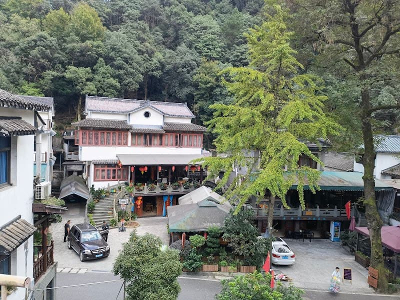 Longjing Tea Fields Walk (Dragon Well Village)
