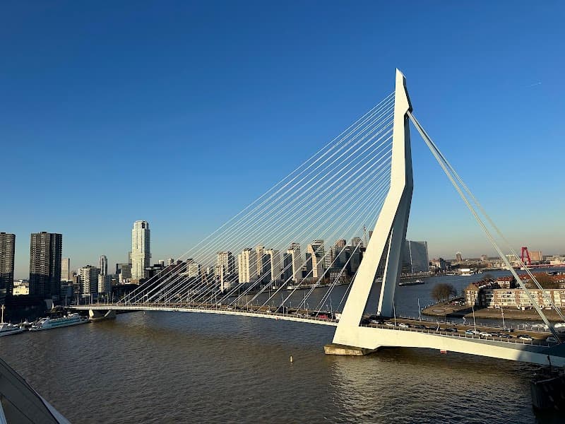 Maas Riverfront Walk & Erasmus Bridge