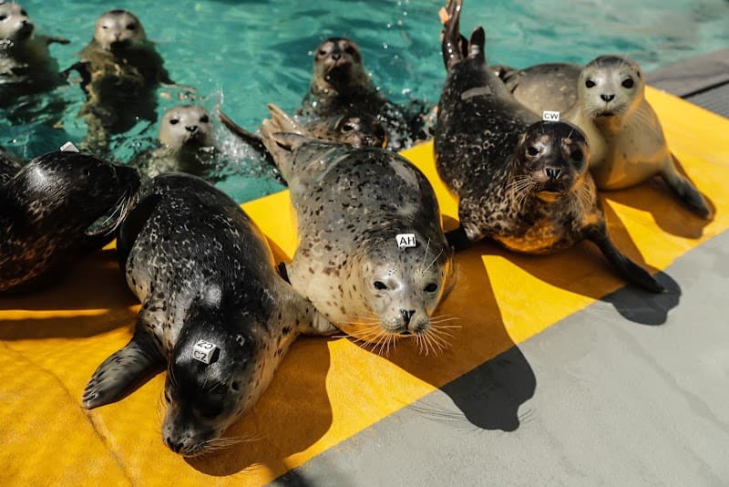 Marine Mammal Center